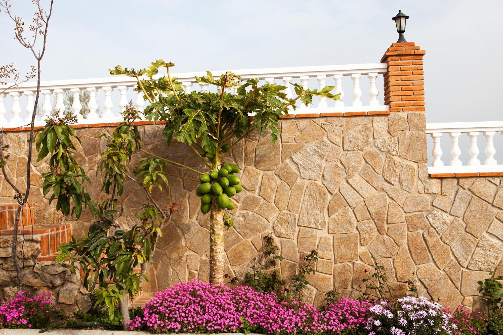 El Palomar Azul With Pool And Sea View Villa *
